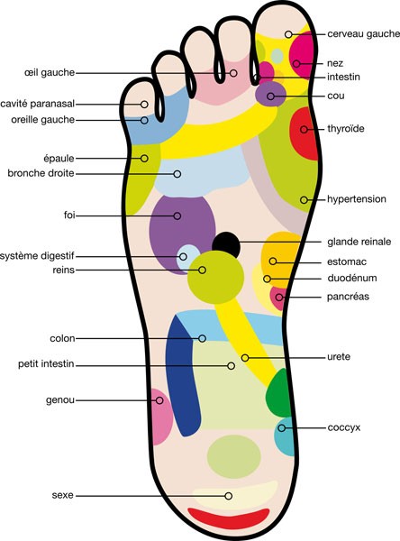 réflexologie des pieds
